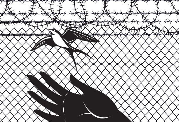 illustration: hand releasing sparrow from barbed wire background (iStockphoto)