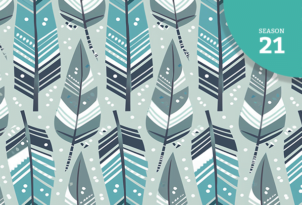 image: pattern of eagle feathers (generated by Adobe Firefly)