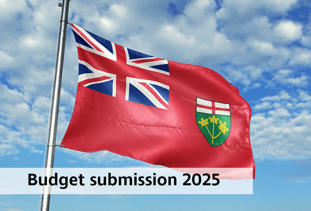 image: Budget submission 2025, flag of Ontario (iStockphoto)