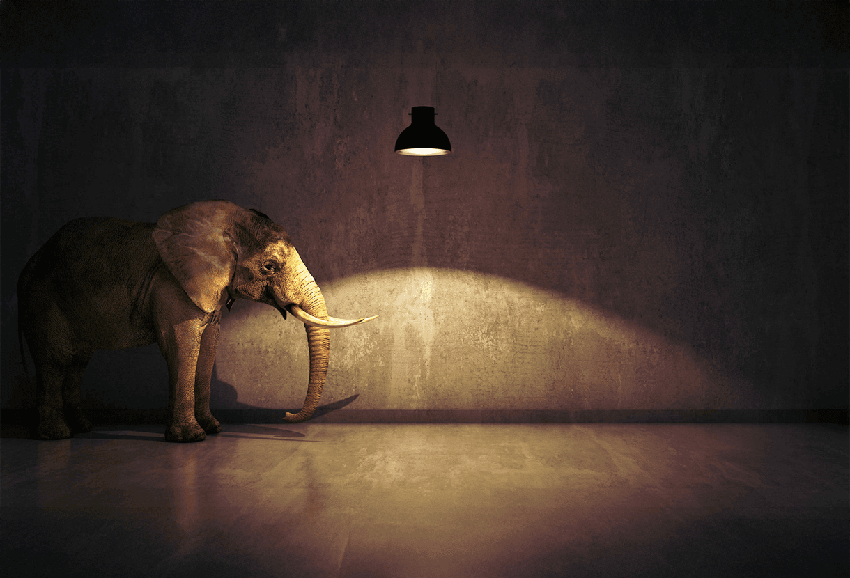 image: glimpse of an elephant in a dark room (iStockphoto)